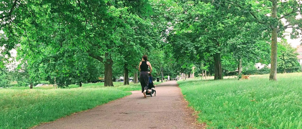 A straight path between tall trees and lawns in Green Park on a sunny day
